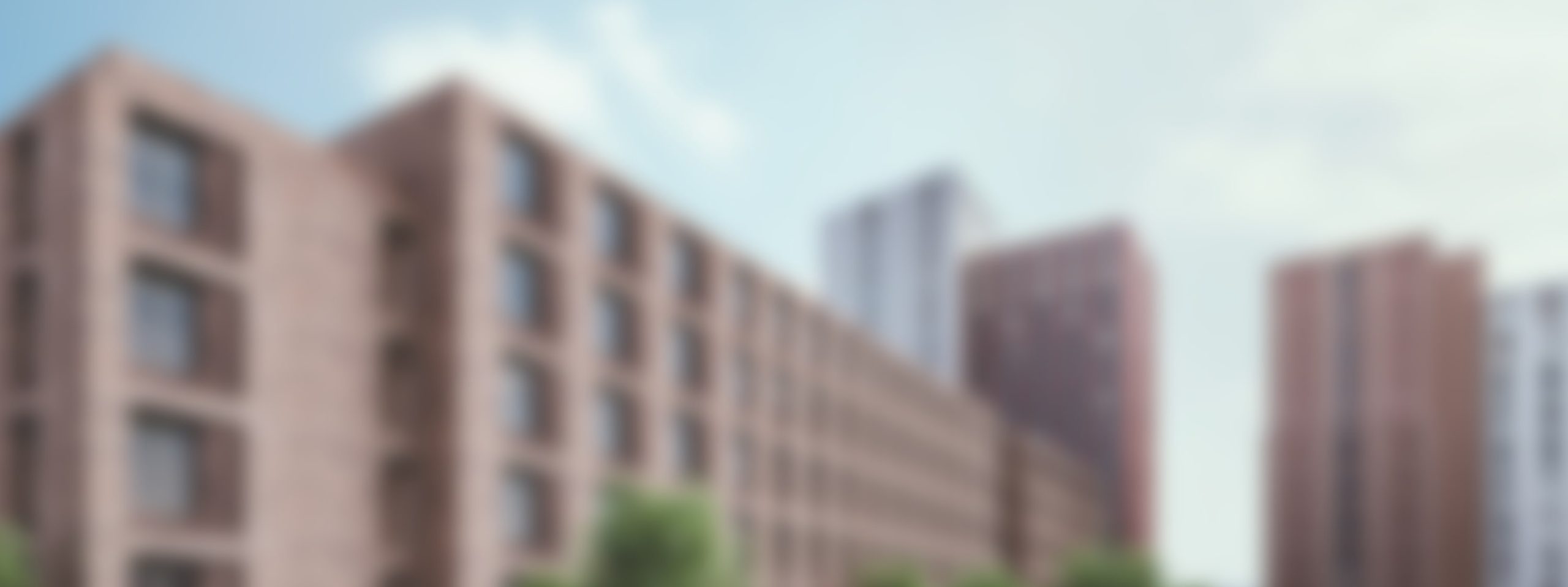 Citi-CaseStudy-AFConnell-Main