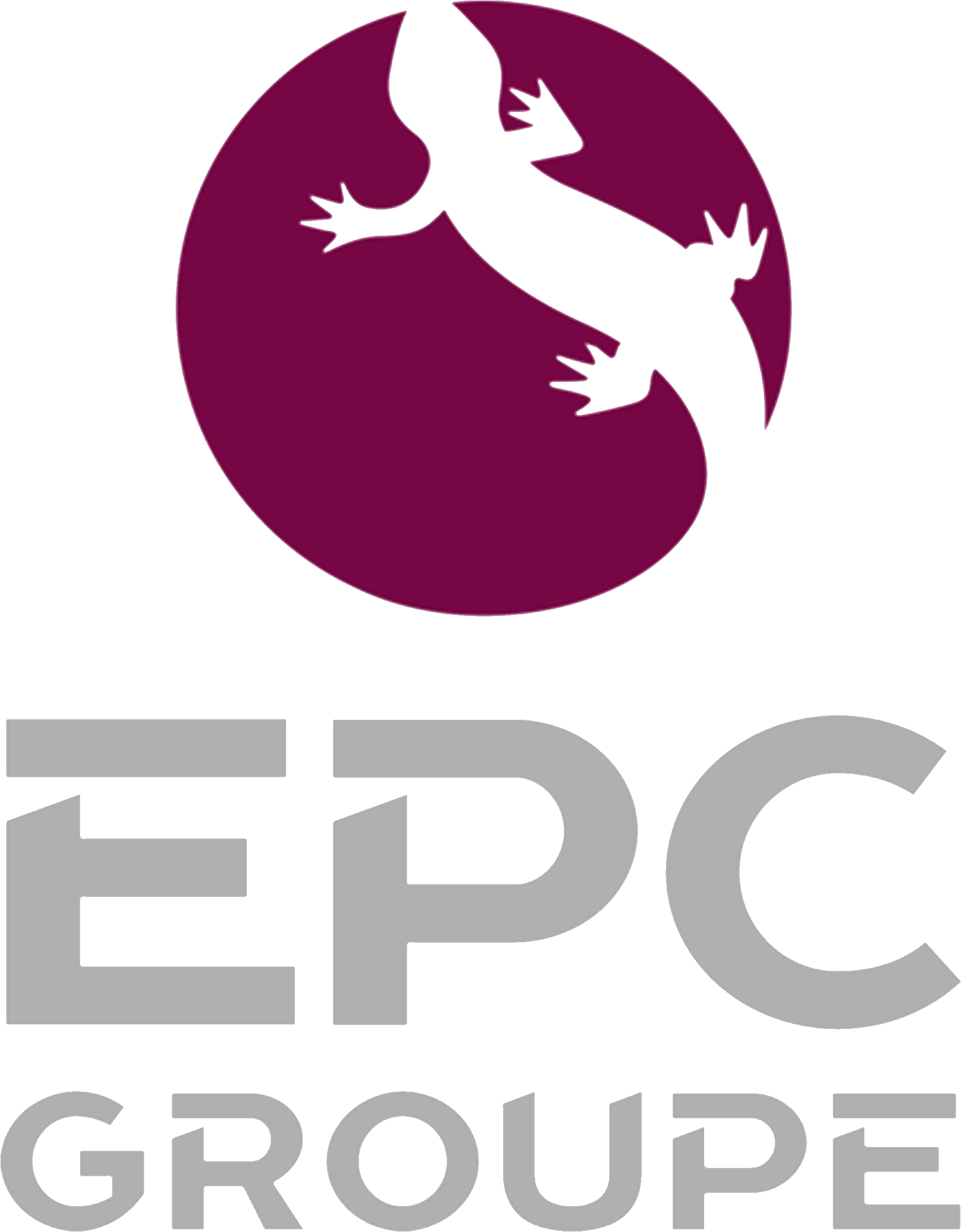 epc-groupe-logo-png_seeklogo-435902